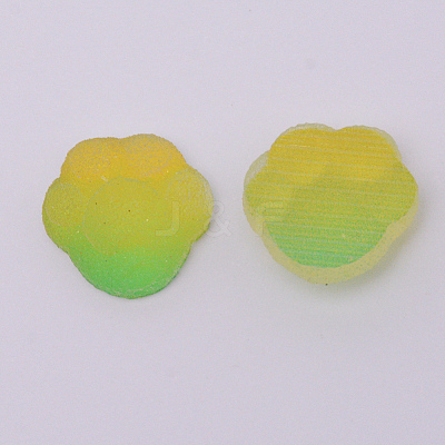 Gradient Style Resin Cabochons CRES-CJC0001-09B-1