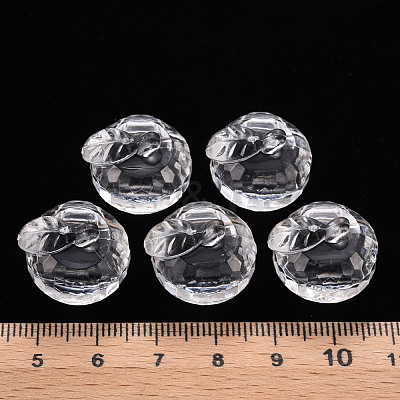 Transparent Acrylic Pendants TACR-T024-05B-205-1