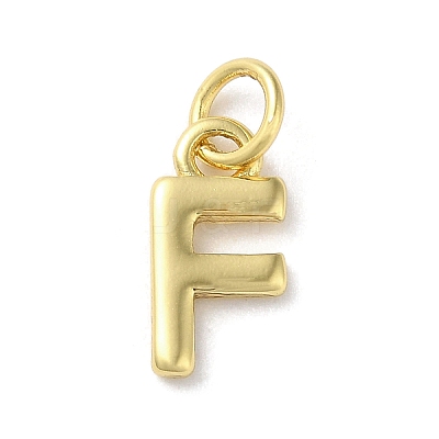 Rack Plating Brass Charms KK-P245-06G-F-1