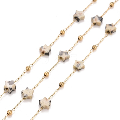Ion Plating(IP) 304 Stainless Steel Satellite Chains CHS-G019-01G-06-1