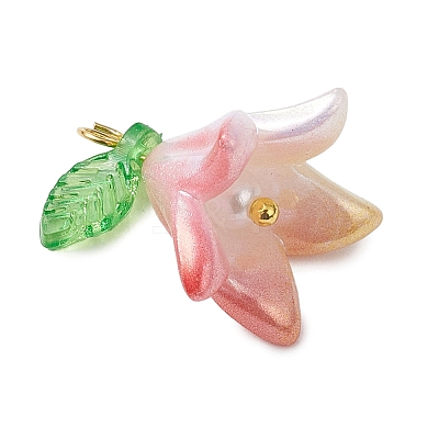 Opaque Acrylic Pendants PALLOY-JF03267-1