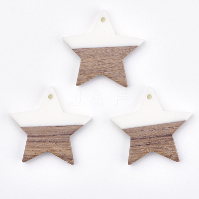 Resin & Walnut Wood Pendants RESI-T023-23B-1