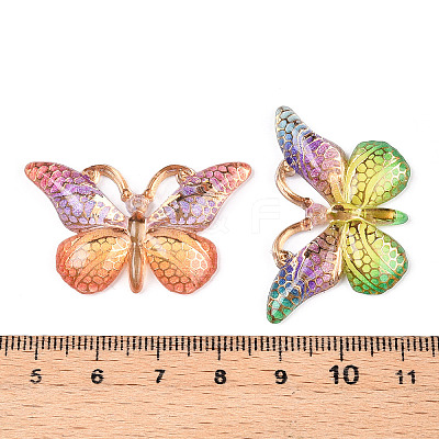 Printed Translucent Acrylic  Pendants OACR-T028-17A-1