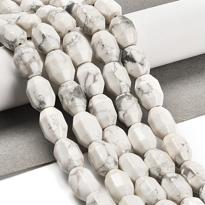 Natural Howlite Beads Strands G-F781-A03-01-1
