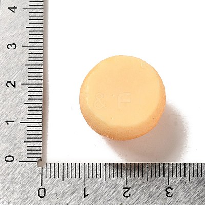 Opaque Resin Imitation Food Decoden Cabochons LS-CRES-A058-02C-1