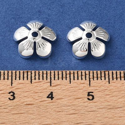Brass Bead Caps KK-C260-20B-S-1