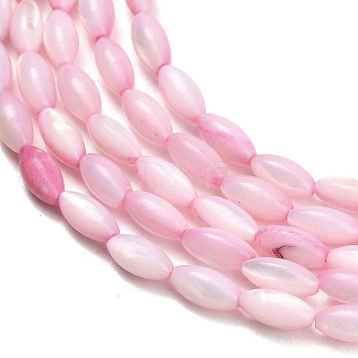 Natural Freshwater Shell Beads Strands SHEL-C010-01E-1