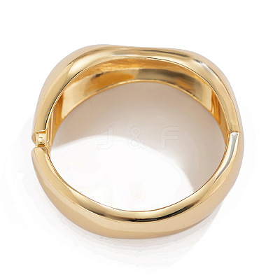 Alloy Hinged Bangles for Women FS-WGCBF0C-01-1