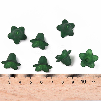 Transparent Acrylic Beads PLF018-09-1