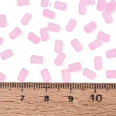 FGB Frosted Transparent Glass Seed Beads SEED-N013-05A-05-1