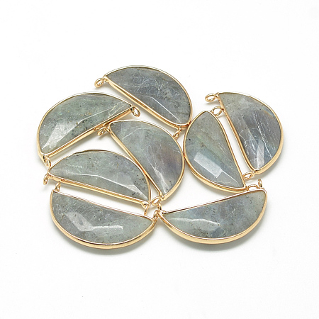 Natural Labradorite Pendants X-G-Q971-10-1