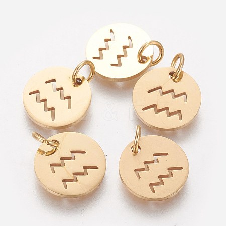 Ion Plating(IP) 304 Stainless Steel Pendants A-STAS-Q201-T445-11G-1