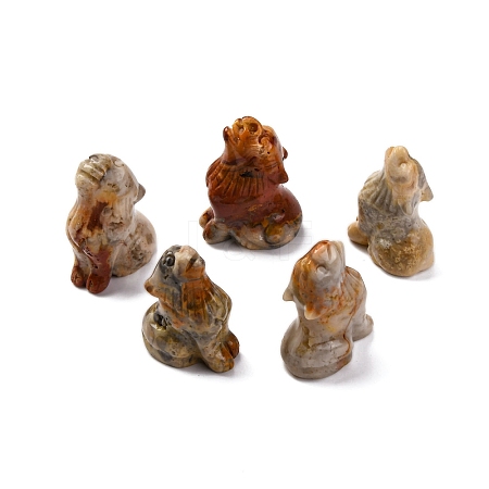 Natural Crazy Agate Display Decorations DJEW-P019-A21-1