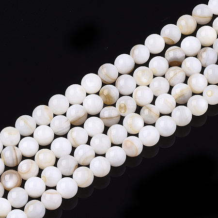 Freshwater Shell Beads Strands X-SHEL-T011-01-5mm-1
