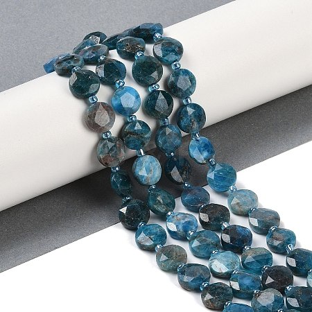 Natural Apatite Beads Strands G-C116-A28-01-1