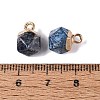 Natural Blue Spot Jasper Pendants G-N359-18G-06-3