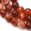 Natural Striped Agate/Banded Agate Bead Strands G-K166-13-10mm-08-7