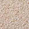 MIYUKI Delica Beads SEED-MY11-DB1874-3