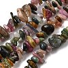 Natural Multicolor Tourmaline Chips Beads Strands F082-01-2