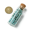 2Pcs Transparent Glass Wishing Bottle Decoration PALLOY-JF03374-3