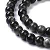 Natural Silver Obsidian Beads Strands G-D083-01D-3