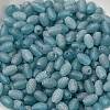 Transparent Colours Glass Seed Beads SEED-F006-03A-11-3