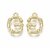 Alloy Pendants PALLOY-S137-001G-NR-1