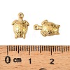 304 Stainless Steel Charms STAS-F321-07G-03-3