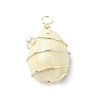 Natural Cowrie Shell Copper Wire Wrapped Pendants PALLOY-TA00196-02-3