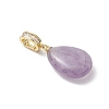 Natural Amethyst & Rose Quartz & Red Agate & Green Aventurine & Tiger Eye Pendants PALLOY-JF04935-4