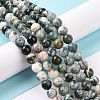 Natural Tree Agate Beads Strands G-K194-6mm-02-7