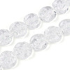 Handmade Lampwork Beads Strands LAMP-N028-04A-2