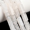 Natural Agate Beads Strands GG-L001-H01-02J-1