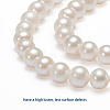Natural Cultured Freshwater Pearl Beads Strands PEAR-E002-25-01-2
