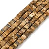 Natural Picture Jasper Beads Strands G-I394-A01-2