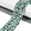 Natural Emerald Beads Strands G-P553-E04-02-6