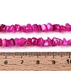 Natural Freshwater Shell Beads Strands SHEL-N037-04E-4