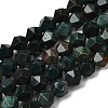 Natural Bloodstone/Heliotrope Beads Strands G-Z119-A16-01-3