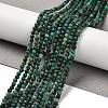 Natural Chrysocolla Beads Strands G-K373-B07-03-1