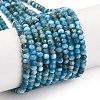 Natural Apatite Beads Strands G-F770-D09-02A-2