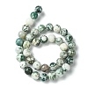 Natural Tree Agate Round Gemstone Beads Strands G-R255-10mm-5
