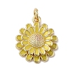 Rack Plating Brass Enamel Pendants KK-B092-28G-2