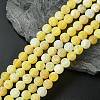 Natural Crackle Agate Beads Strands G-G055-8mm-6-1
