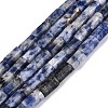 Natural Blue Spot Jasper Beads Strands GG-N002-01A-25-2