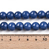 Baking Paint Glass Beads Strands DGLA-N013-10mm-10-4