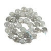 Natural White Jade(Dyed) Beads Strands G-C116-A36-01-4