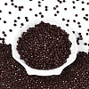 Baking Paint Pearlized Glass Seed Beads SEED-T007-21A-10-1
