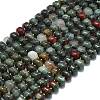 Natural African Bloodstone Beads Strands G-P573-B13-01-2