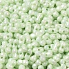 Opaque Colours Luster Glass Seed Beads SEED-B001-01A-10-3