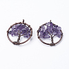 Natural Amethyst Pendants G-E419-03R-1